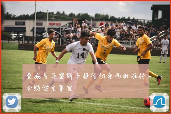 曼城与马雷斯卡静待切尔西批准转会赔偿金事宜